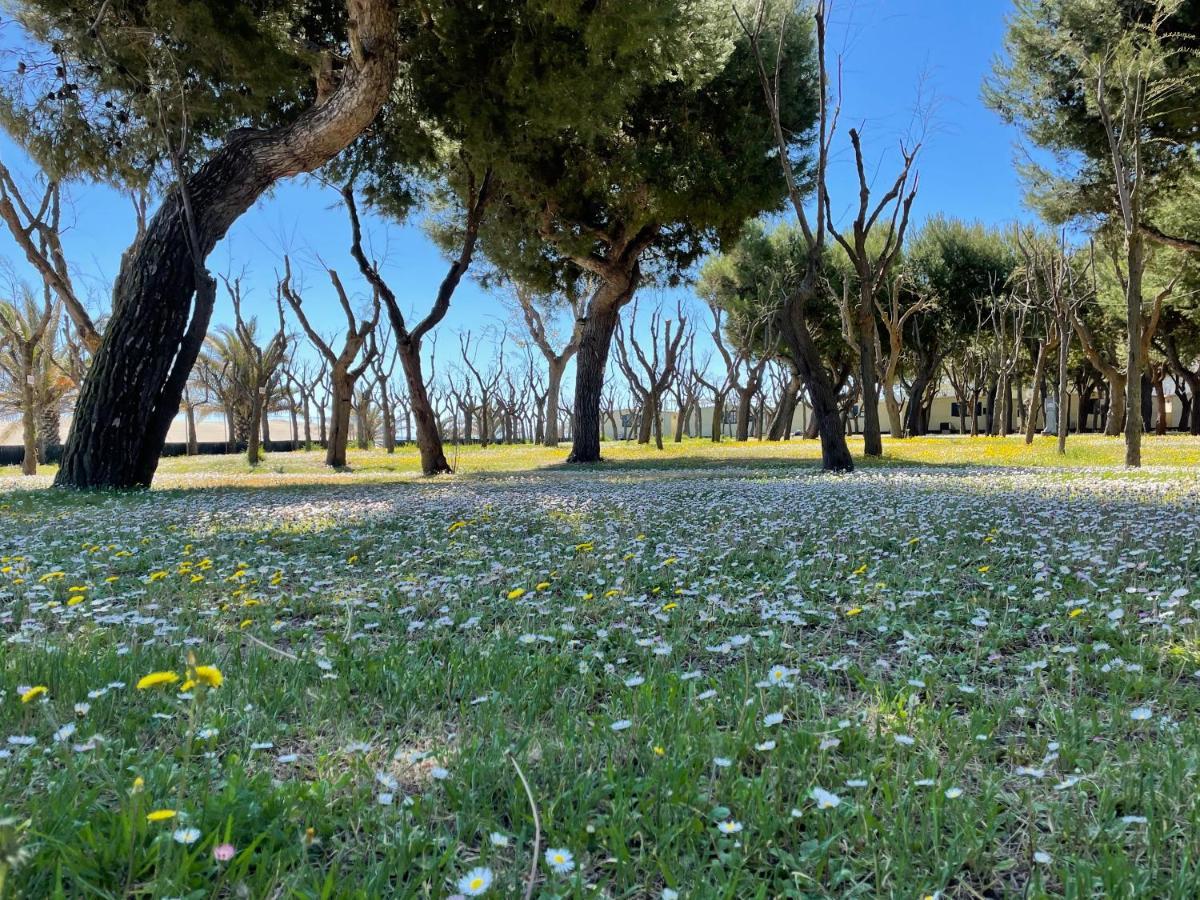 Camping Led Zeppelin * Cupra Marittima